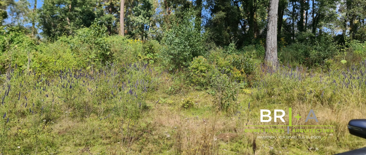 Foto de terreno habitacional en venta en  , san juan, amanalco, méxico, 0 No. 04