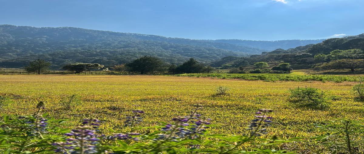 Foto de terreno habitacional en venta en  , san juan atezcapan, valle de bravo, méxico, 27322000 No. 05