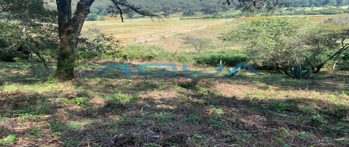 Foto de terreno habitacional en venta en  , san juan atezcapan, valle de bravo, méxico, 0 No. 03