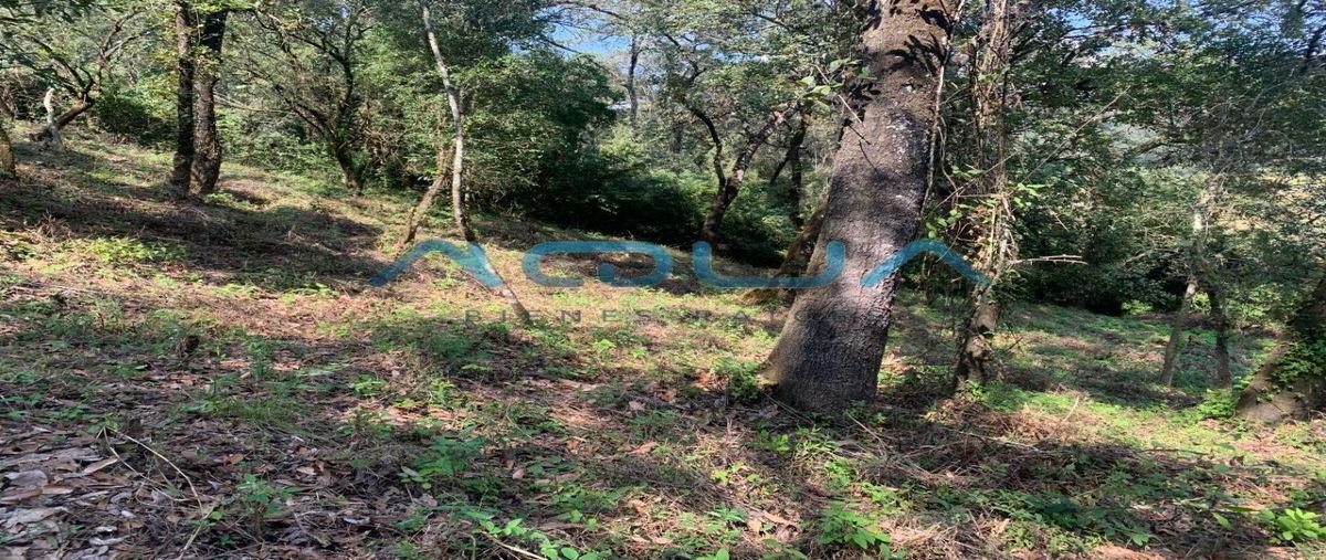 Foto de terreno habitacional en venta en  , san juan atezcapan, valle de bravo, méxico, 0 No. 05