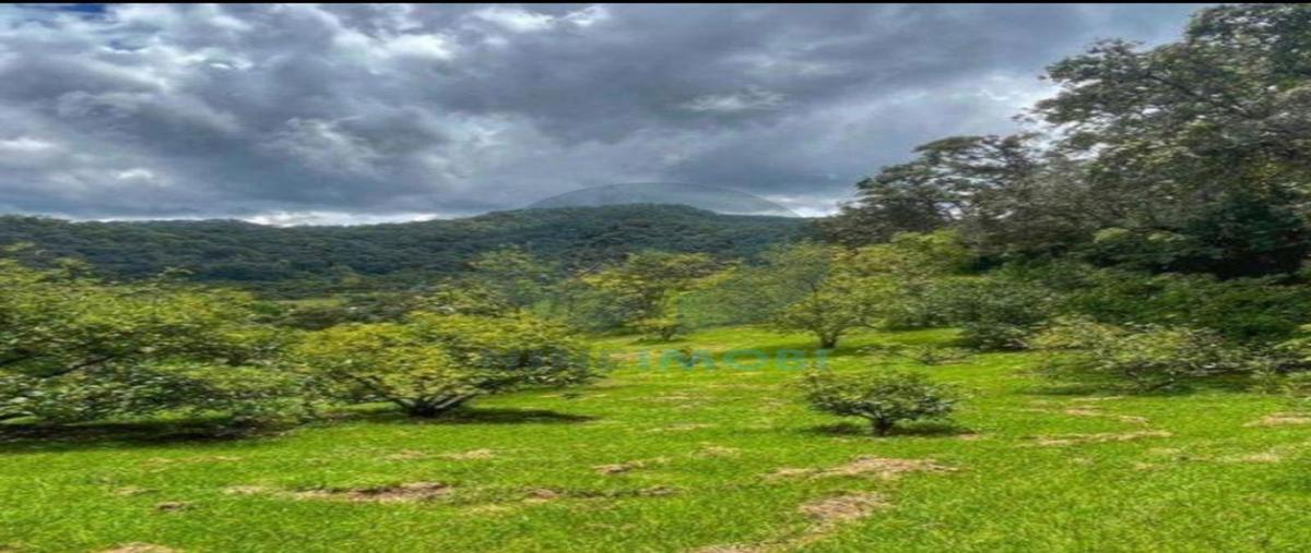 Foto de terreno habitacional en venta en  , san juan atezcapan, valle de bravo, méxico, 0 No. 04