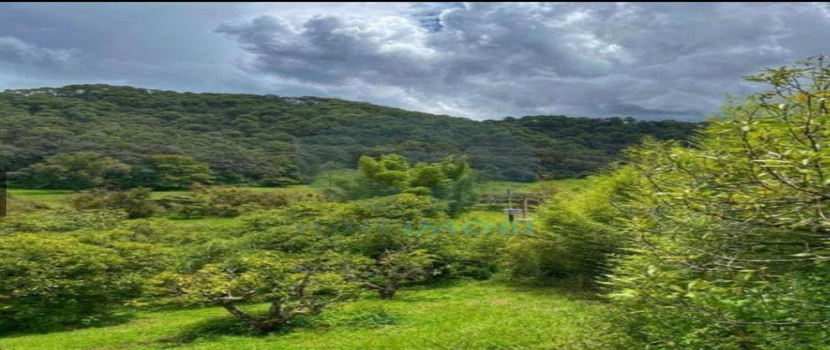 Foto de terreno habitacional en venta en  , san juan atezcapan, valle de bravo, méxico, 0 No. 05