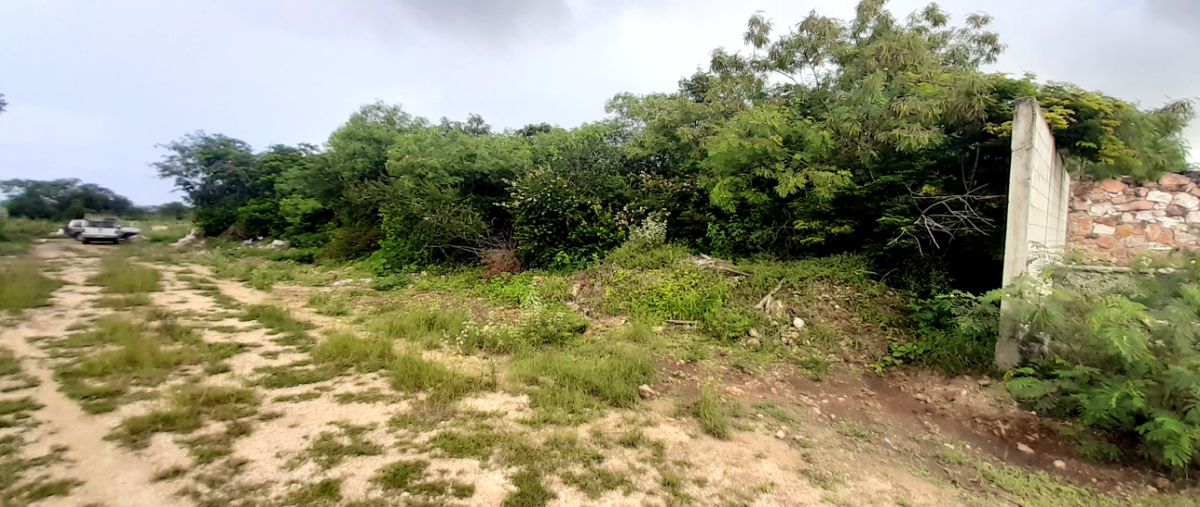 Foto de terreno habitacional en venta en  , san juan bautista, mérida, yucatán, 17531711 No. 03