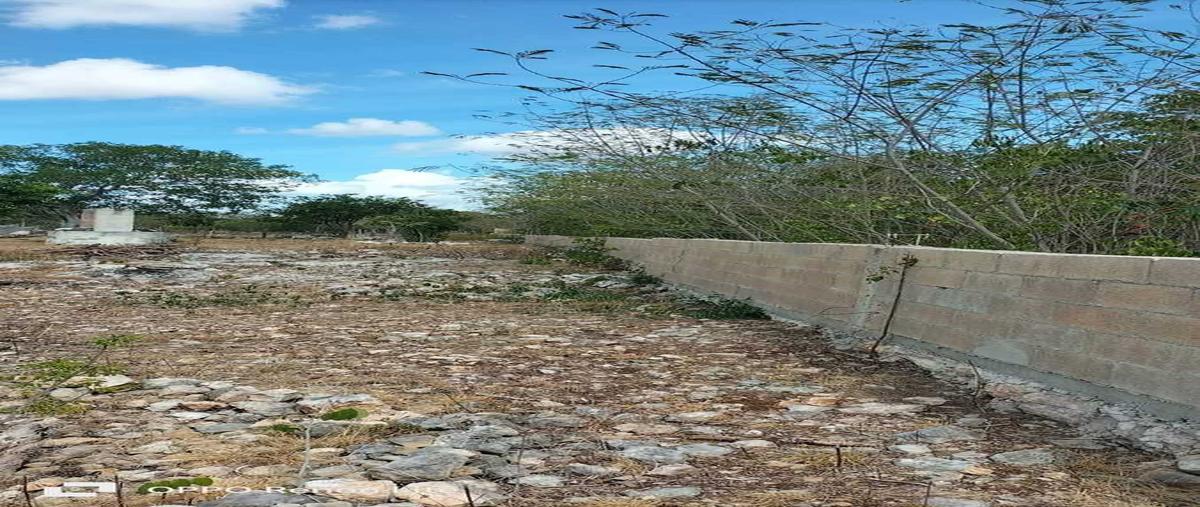 Foto de terreno habitacional en venta en  , san juan bautista, mérida, yucatán, 0 No. 03