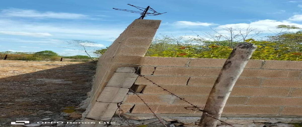 Foto de terreno habitacional en venta en  , san juan bautista, mérida, yucatán, 0 No. 05