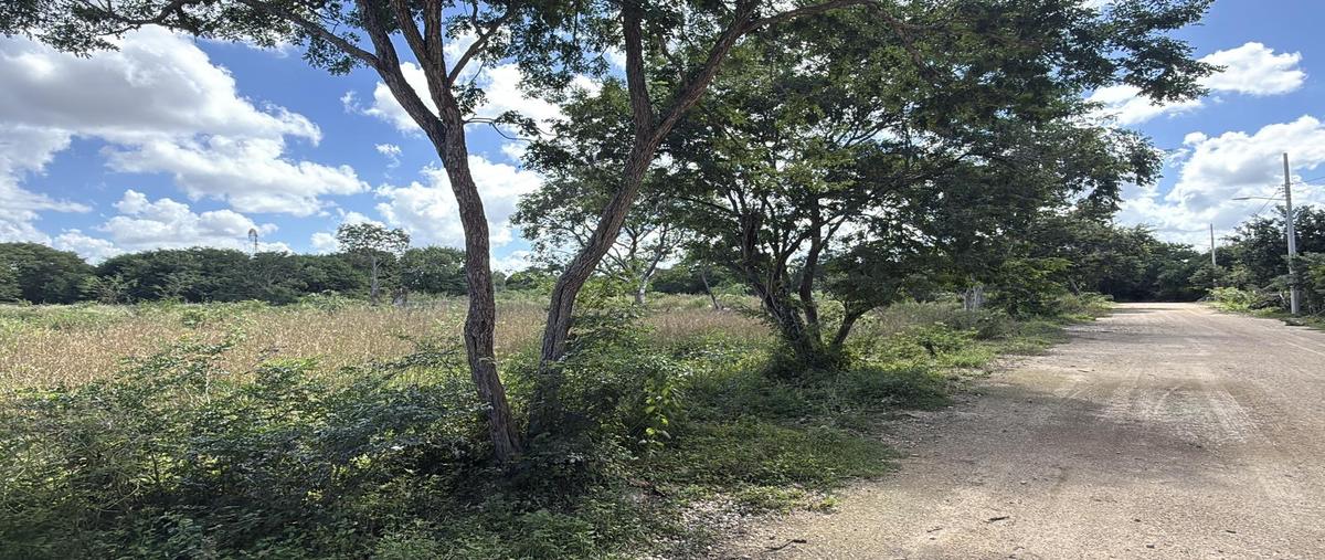 Foto de terreno habitacional en venta en  , san juan bautista, mérida, yucatán, 30552074 No. 05