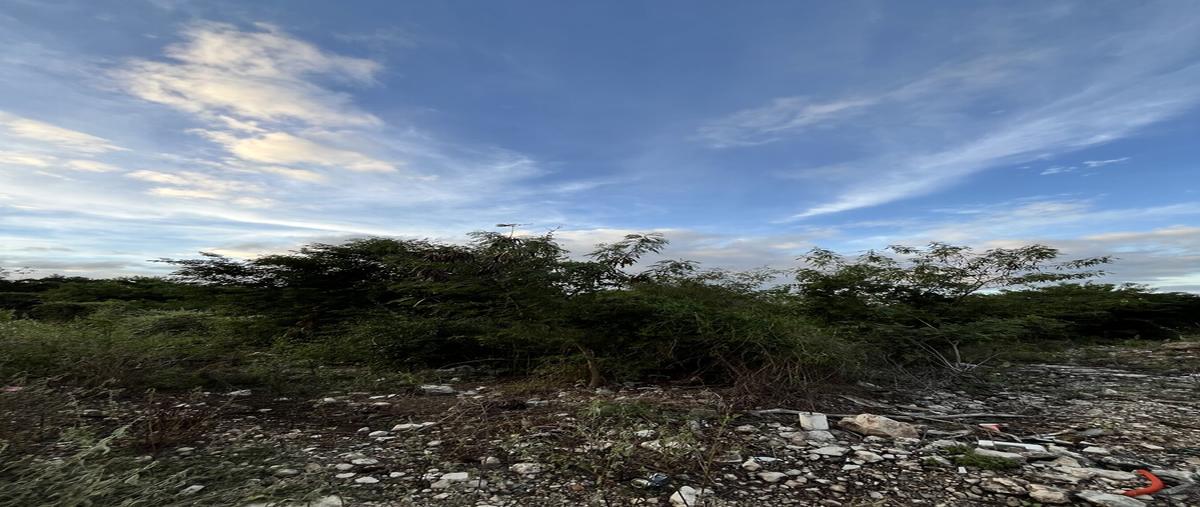 Foto de terreno habitacional en venta en . , san juan bautista, mérida, yucatán, 0 No. 03