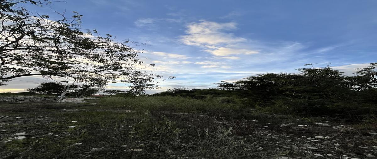 Foto de terreno habitacional en venta en . , san juan bautista, mérida, yucatán, 0 No. 04