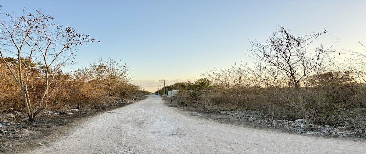 Foto de terreno habitacional en venta en  , san juan bautista, mérida, yucatán, 0 No. 03