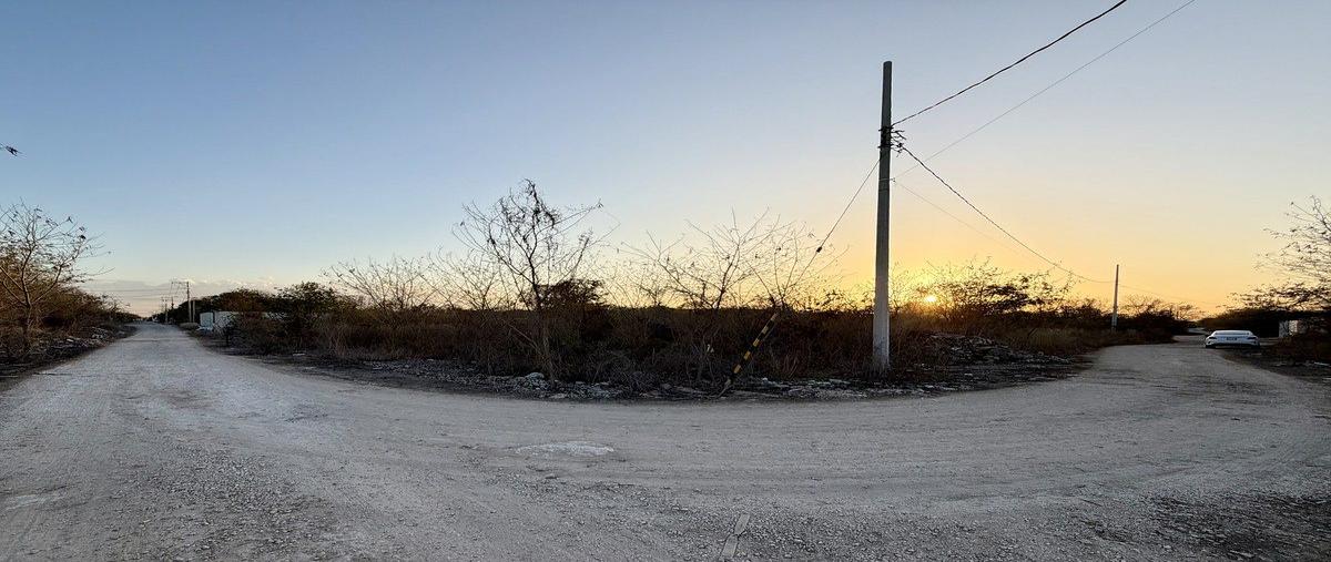 Foto de terreno habitacional en venta en  , san juan bautista, mérida, yucatán, 0 No. 05