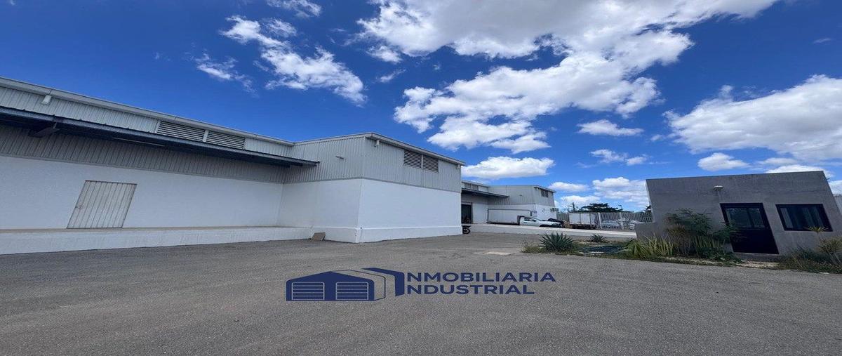 Foto de bodega en renta en  , san juan bautista, mérida, yucatán, 0 No. 06