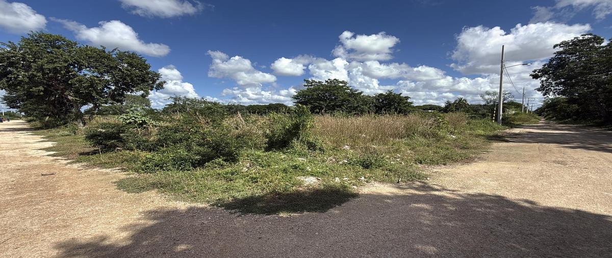 Foto de terreno habitacional en venta en  , san juan bautista, mérida, yucatán, 31427090 No. 04