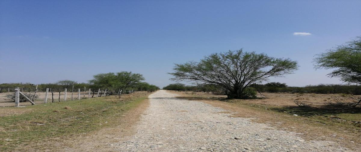 Foto de terreno habitacional en venta en  , san juan, cadereyta jiménez, nuevo león, 27882353 No. 03