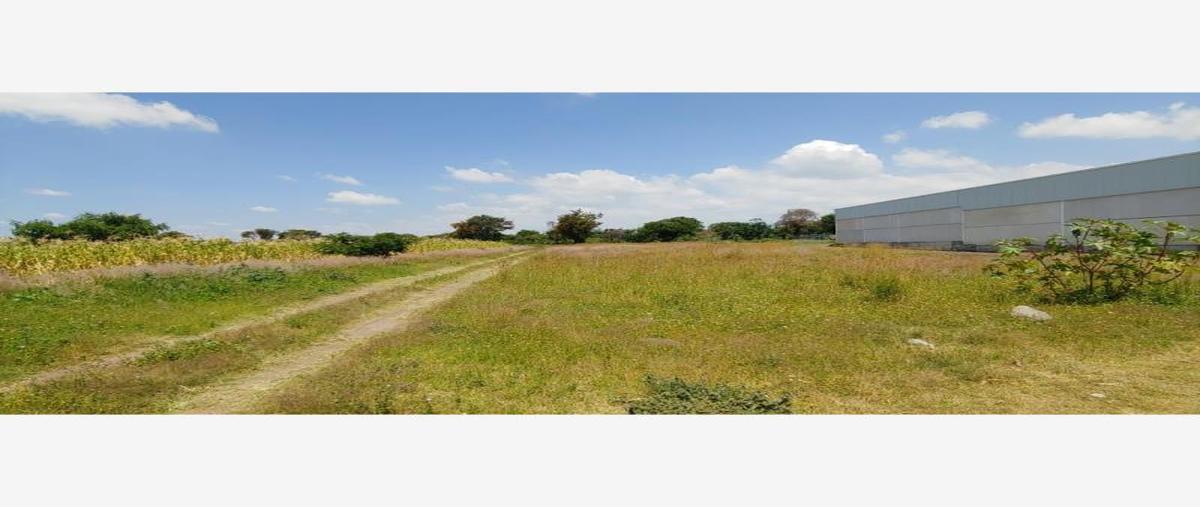 Foto de terreno habitacional en venta en san juan castillotla 5, la trinidad tepango, atlixco, puebla, 21595531 No. 01