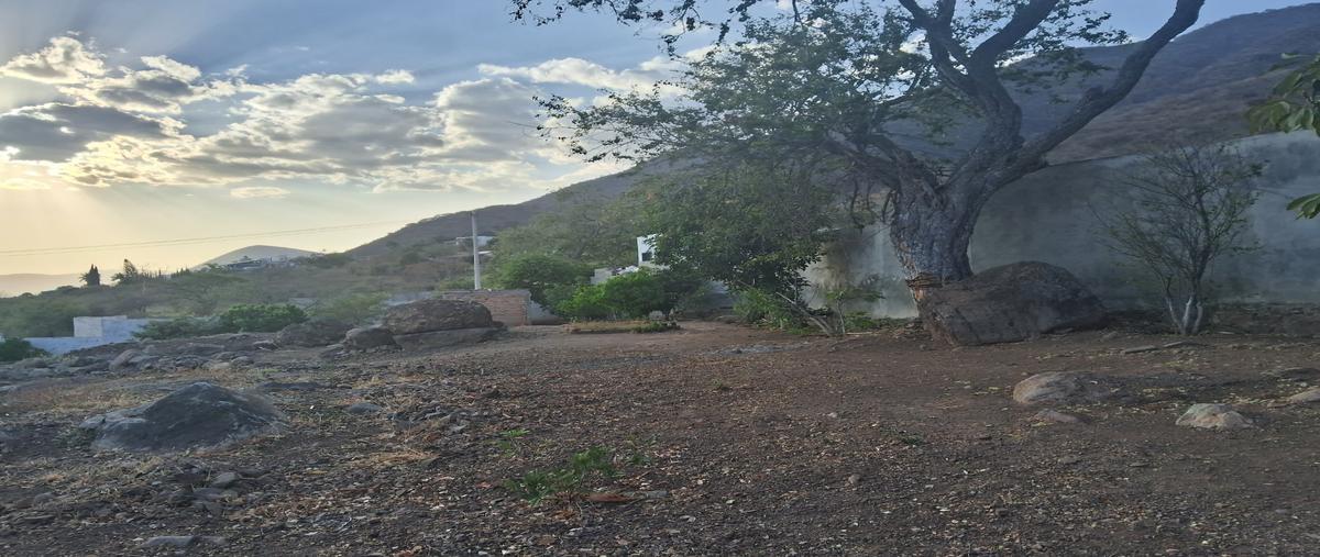 Foto de terreno habitacional en venta en  , san juan cosala, jocotepec, jalisco, 0 No. 03