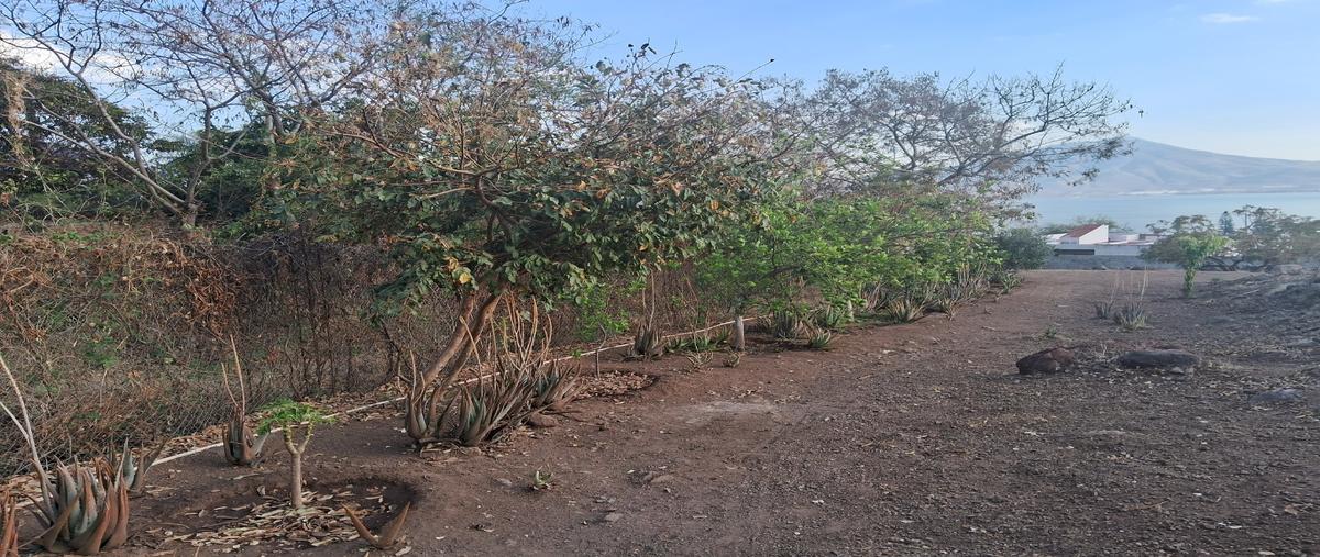 Foto de terreno habitacional en venta en  , san juan cosala, jocotepec, jalisco, 0 No. 04