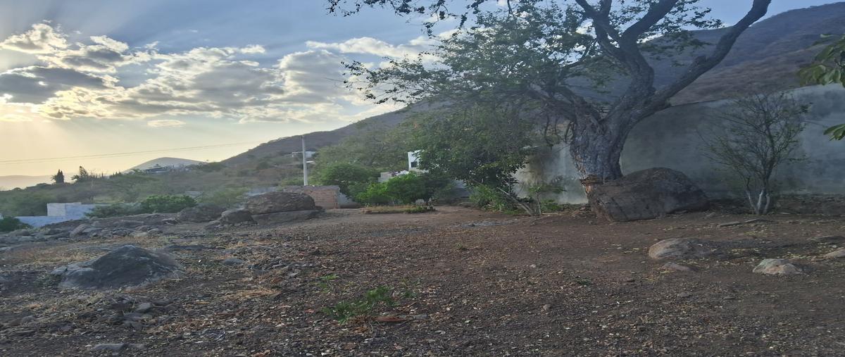 Foto de terreno habitacional en venta en  , san juan cosala, jocotepec, jalisco, 30224281 No. 03