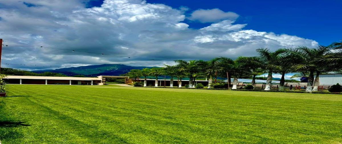 Foto de casa en , san juan de abajo, bahía de banderas, nayarit, 0 foto 04 Foto de casa en venta en , san juan de abajo, bahía de banderas, nayarit, 0 No. 04