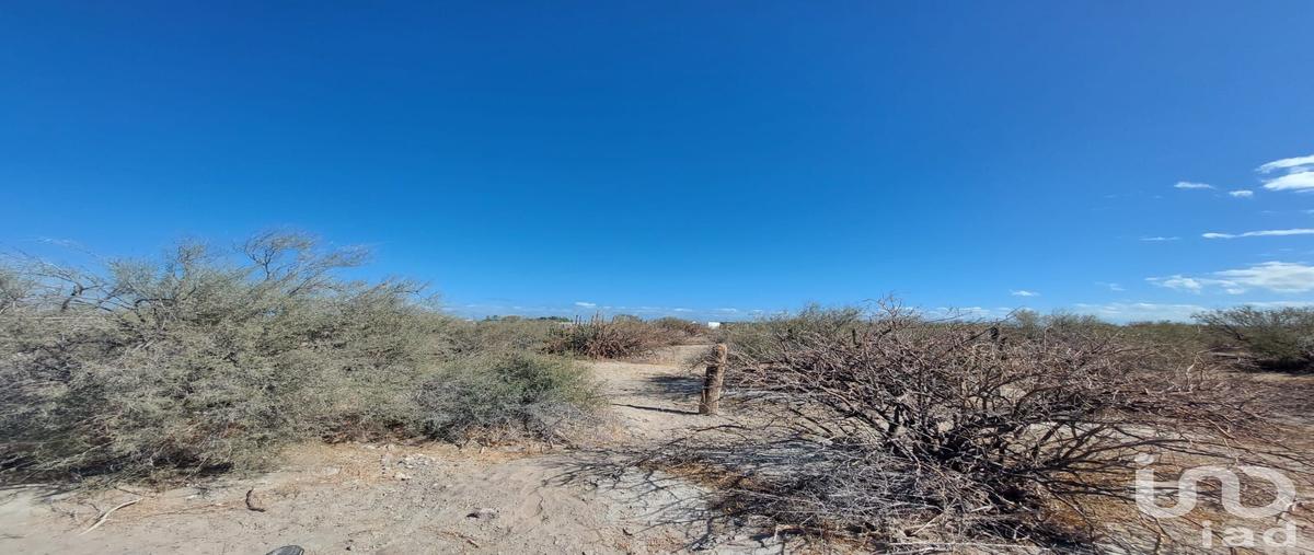 Foto de terreno habitacional en venta en san juan de la costa 357, san juan de la costa, la paz, baja california sur, 29952519 No. 02