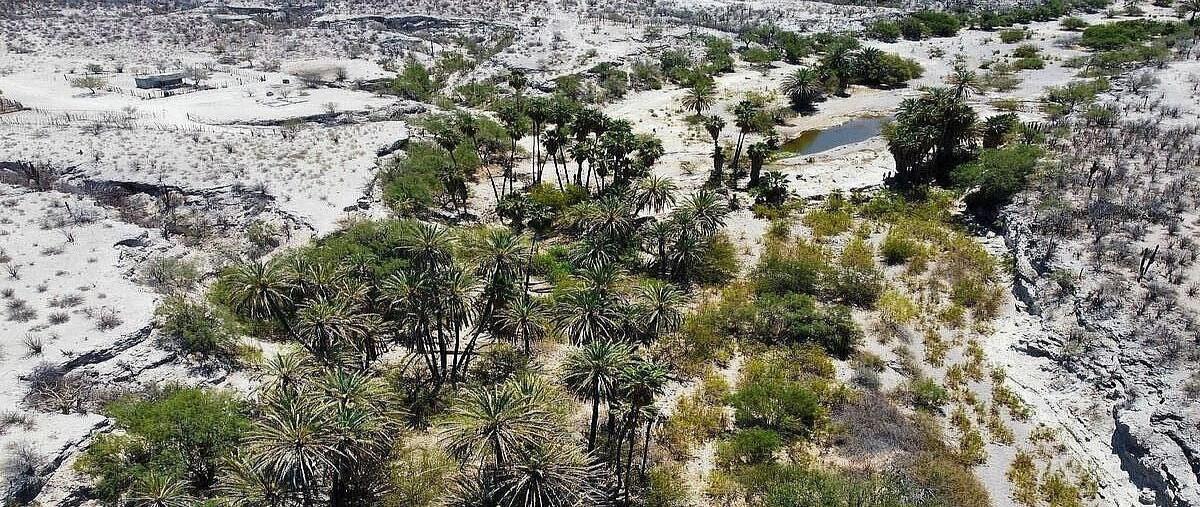 Foto de terreno habitacional en , san juan de la costa, la paz, baja california sur, 30036390 foto 03 Foto de terreno habitacional en venta en , san juan de la costa, la paz, baja california sur, 30036390 No. 03