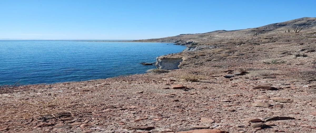 Foto de terreno habitacional en venta en  , san juan de la costa, la paz, baja california sur, 0 No. 05