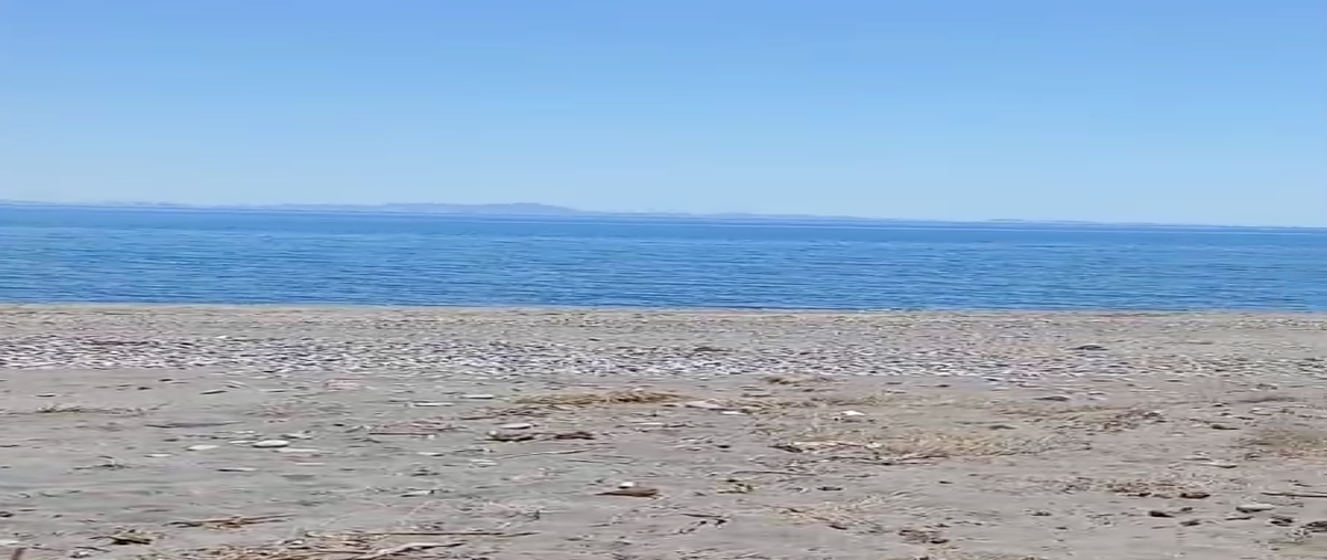 Foto de terreno habitacional en venta en  , san juan de la costa, la paz, baja california sur, 0 No. 03