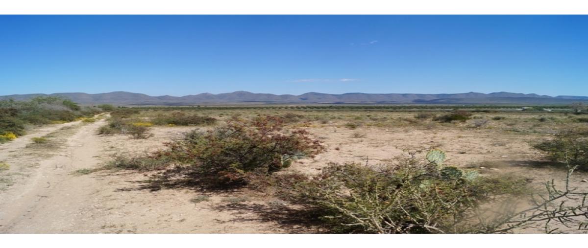 Foto de terreno habitacional en venta en  , san juan de la vaquería, saltillo, coahuila de zaragoza, 0 No. 05