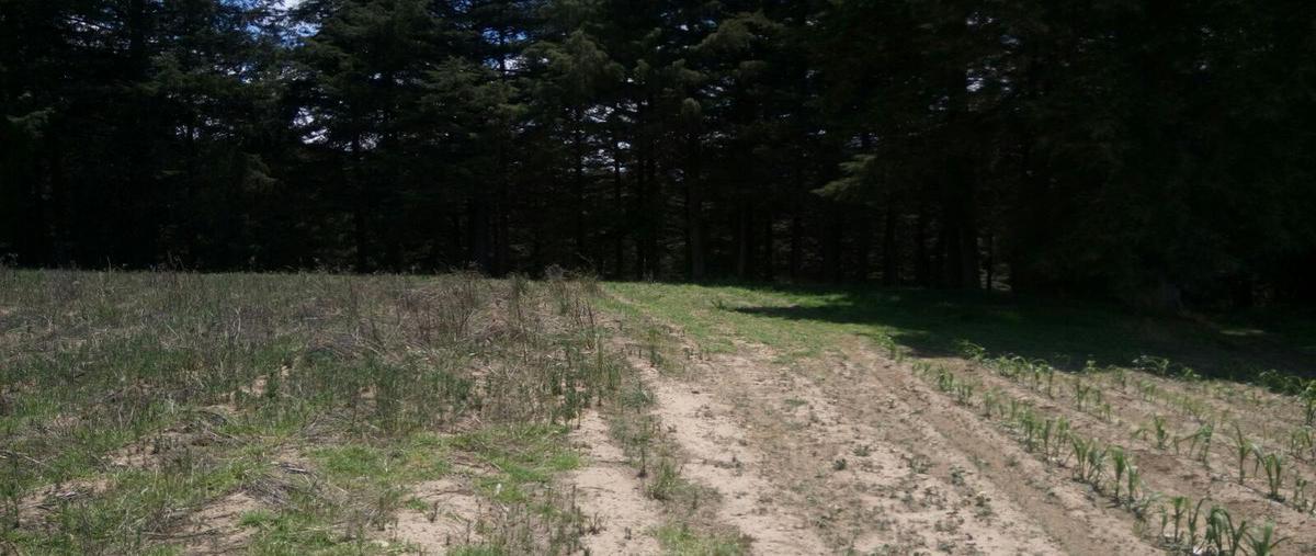 Foto de terreno habitacional en venta en  , san juan de las huertas, zinacantepec, méxico, 0 No. 04