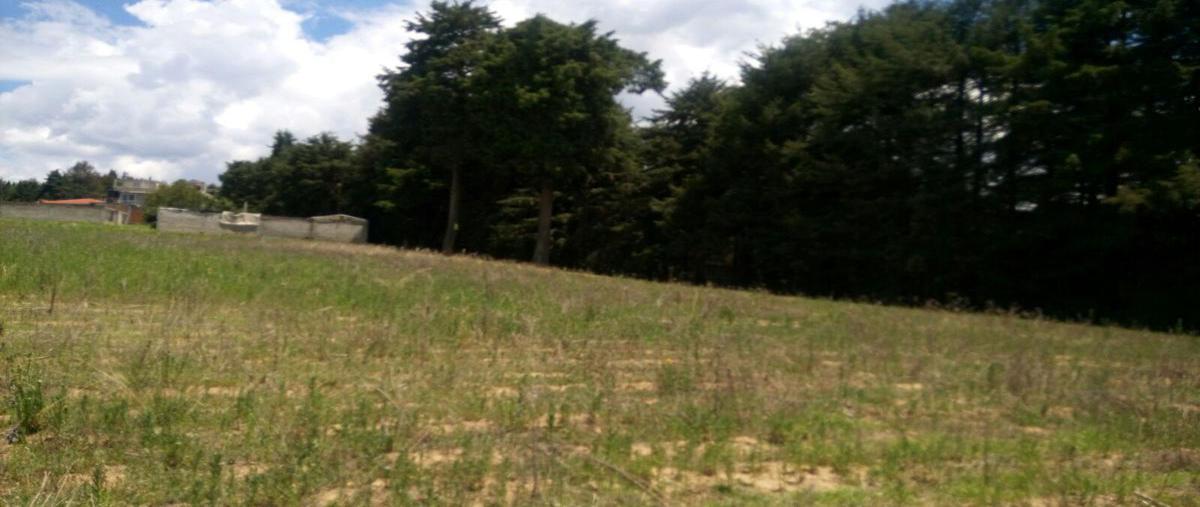 Foto de terreno habitacional en venta en  , san juan de las huertas, zinacantepec, méxico, 0 No. 05