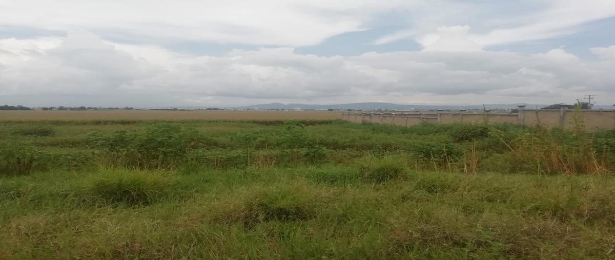 Foto de terreno habitacional en venta en  , san juan de razos, salamanca, guanajuato, 0 No. 04