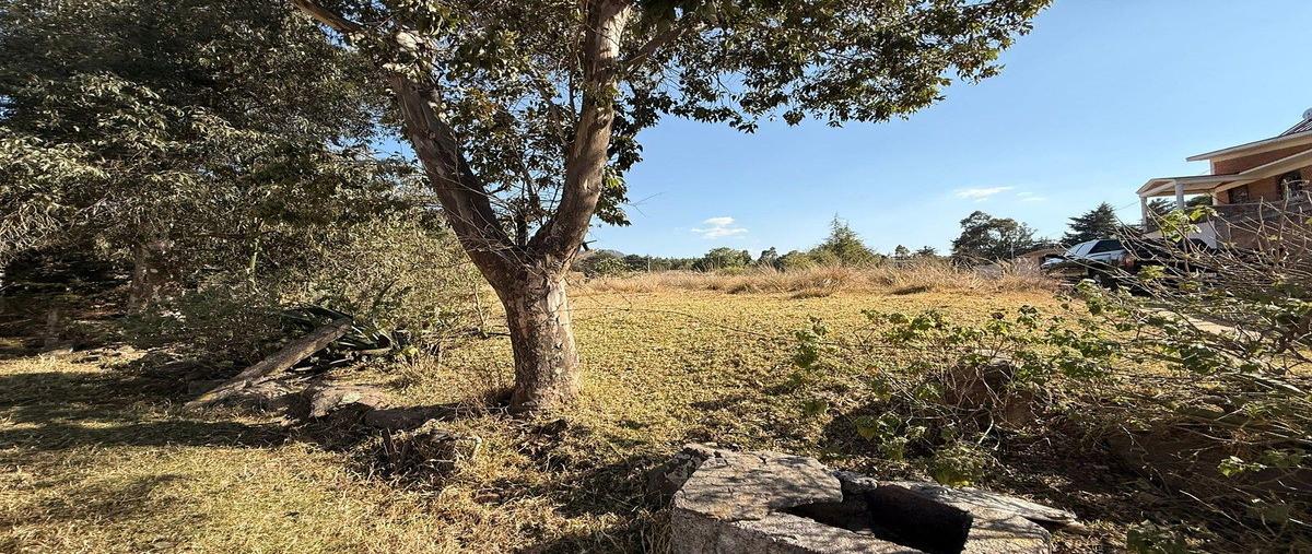 Foto de terreno habitacional en venta en  , san juan dehedó, amealco de bonfil, querétaro, 30871666 No. 05