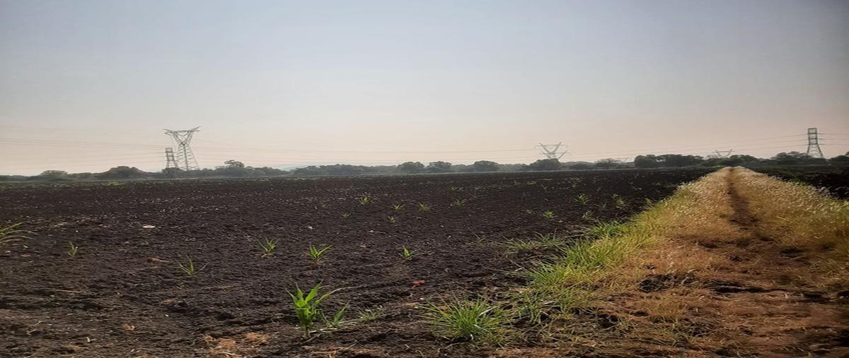 Foto de terreno comercial en venta en san juan del rio, qro. chintepec , el organal , el organal, san juan del río, querétaro, 28079375 No. 04