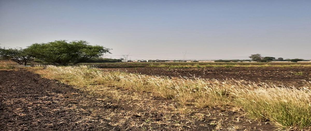 Foto de terreno comercial en venta en san juan del rio, qro. chintepec , el organal , el organal, san juan del río, querétaro, 28079375 No. 05
