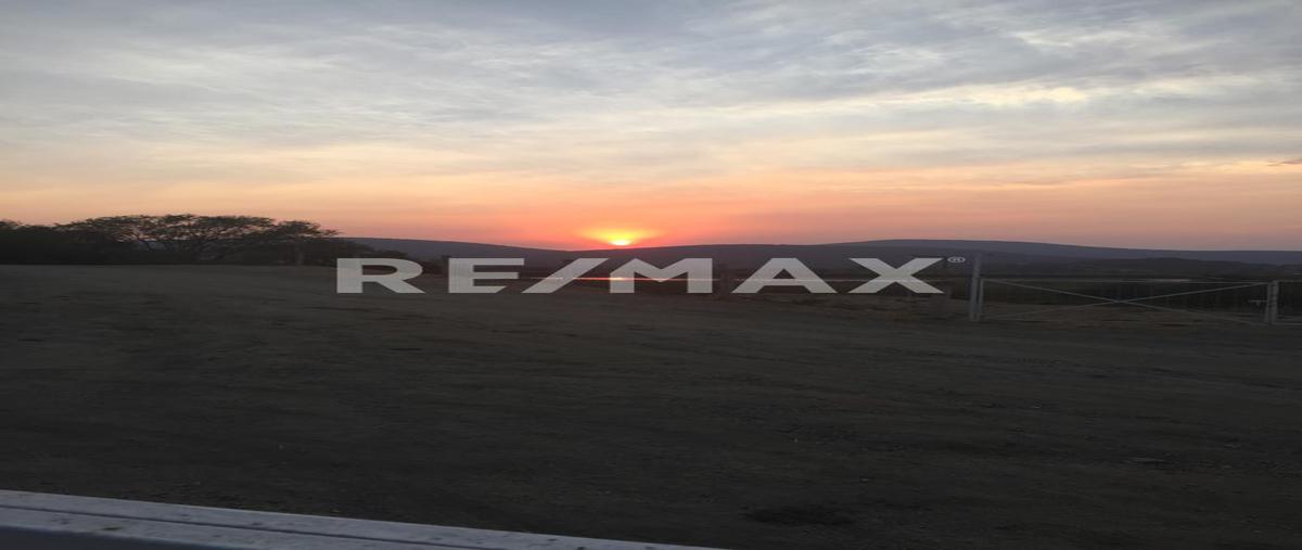 Foto de terreno habitacional en venta en san juan epatlan , san juan epatlán, epatlán, puebla, 0 No. 03