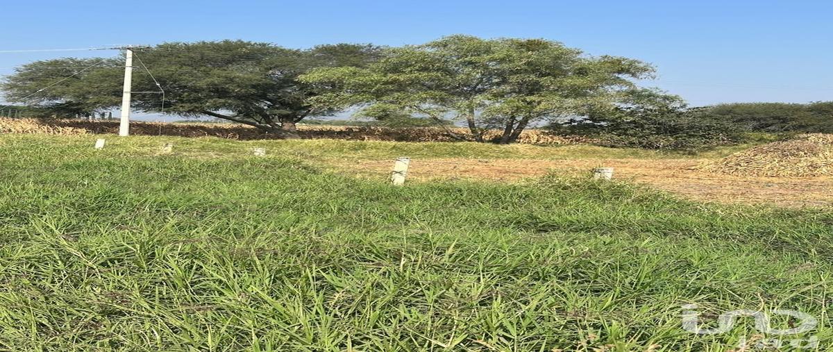 Foto de terreno industrial en venta en san juan evangelista 3542, san miguel cuyutlan, tlajomulco de zúñiga, jalisco, 30585704 No. 04