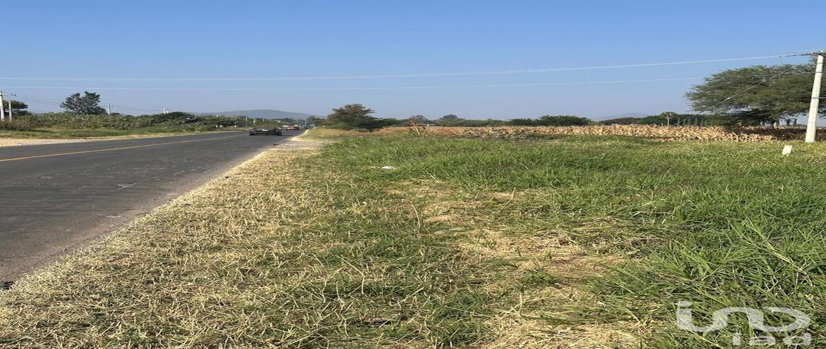 Foto de terreno industrial en venta en san juan evangelista 3542, san miguel cuyutlan, tlajomulco de zúñiga, jalisco, 30585704 No. 05