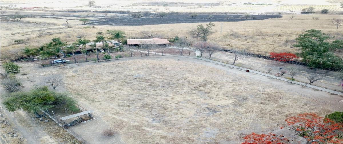 Foto de terreno habitacional en venta en  , san juan evangelista (san juan), tlajomulco de zúñiga, jalisco, 28228172 No. 04