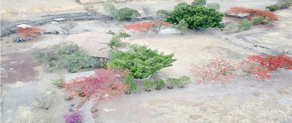 Foto de terreno habitacional en venta en  , san juan evangelista (san juan), tlajomulco de zúñiga, jalisco, 28228172 No. 05