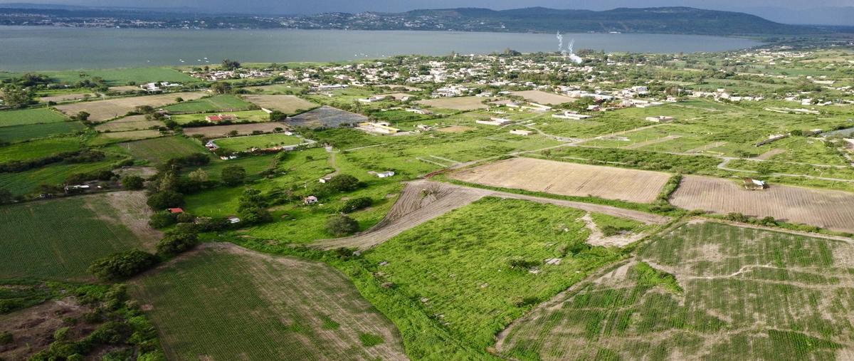 Foto de terreno habitacional en venta en  , san juan evangelista (san juan), tlajomulco de zúñiga, jalisco, 30169094 No. 01