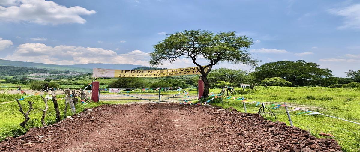 Foto de terreno habitacional en venta en  , san juan evangelista (san juan), tlajomulco de zúñiga, jalisco, 30169094 No. 02