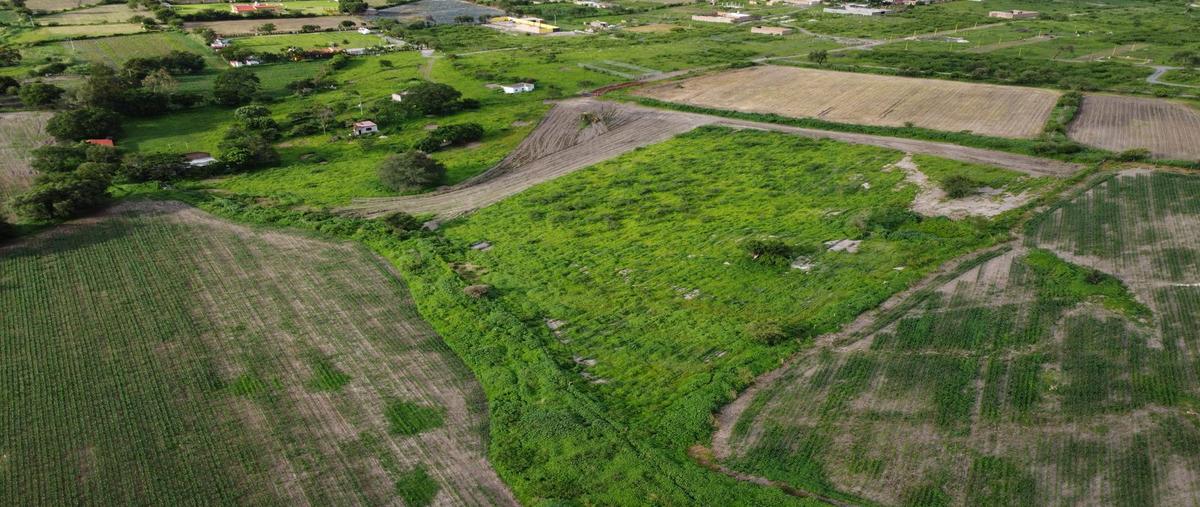 Foto de terreno habitacional en venta en  , san juan evangelista (san juan), tlajomulco de zúñiga, jalisco, 30169094 No. 05