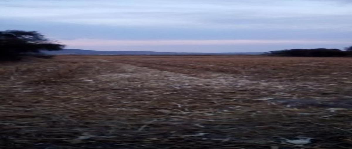 Foto de terreno habitacional en , san juan evangelista (san juan), tlajomulco de zúñiga, jalisco, 30298574 foto 01 Foto de terreno habitacional en venta en , san juan evangelista (san juan), tlajomulco de zúñiga, jalisco, 30298574 No. 01