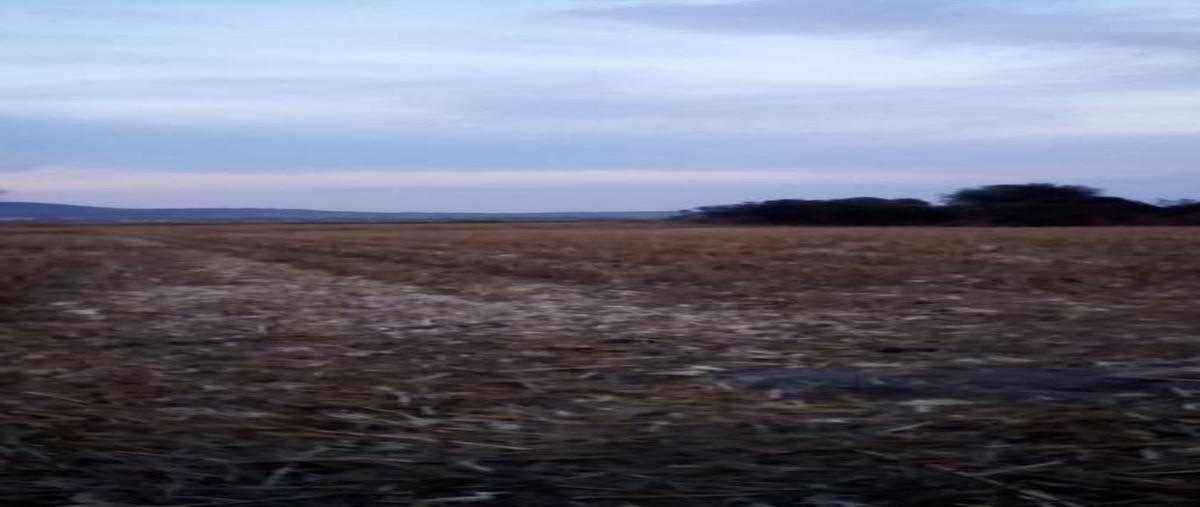 Foto de terreno habitacional en , san juan evangelista (san juan), tlajomulco de zúñiga, jalisco, 30298574 foto 03 Foto de terreno habitacional en venta en , san juan evangelista (san juan), tlajomulco de zúñiga, jalisco, 30298574 No. 03