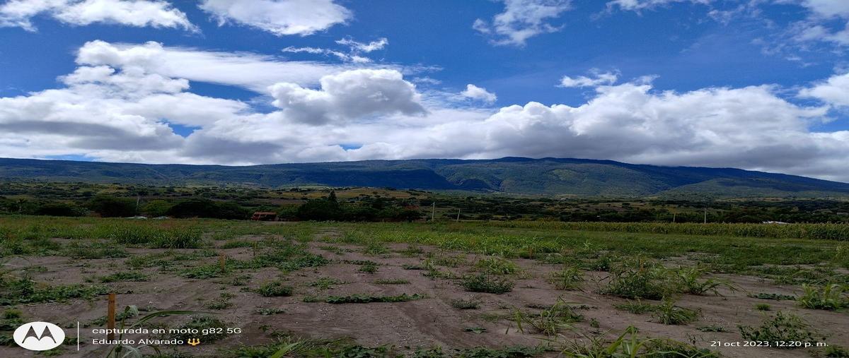 Foto de terreno habitacional en san juan evangelista , san lucas evangelista, tlajomulco de zúñiga, jalisco, 29083726 foto 05 Foto de terreno habitacional en venta en san juan evangelista , san lucas evangelista, tlajomulco de zúñiga, jalisco, 29083726 No. 05