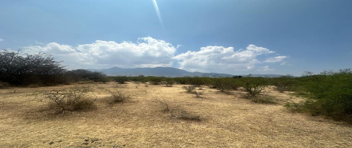 Foto de terreno habitacional en venta en  , san juan guelavia, san juan guelavía, oaxaca, 0 No. 03