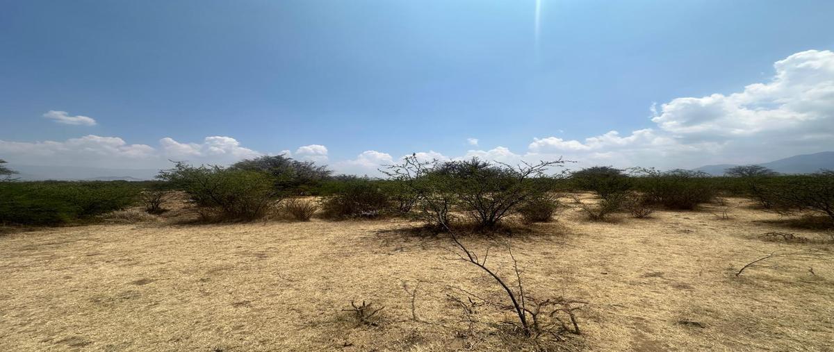 Foto de terreno habitacional en venta en  , san juan guelavia, san juan guelavía, oaxaca, 0 No. 04