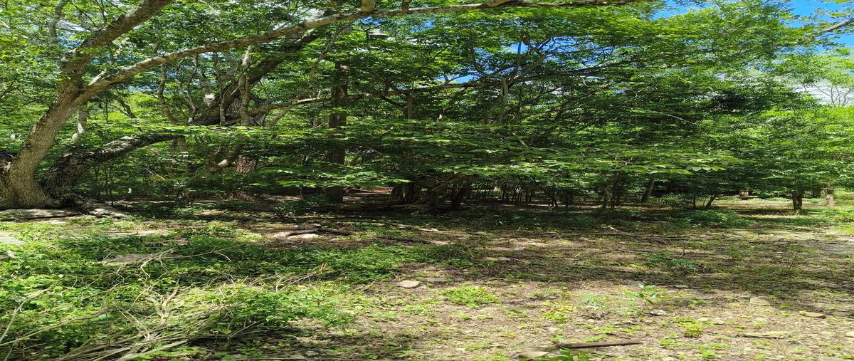 Foto de terreno habitacional en . , san juan izamal, izamal, yucatán, 0 foto 04 Foto de terreno habitacional en venta en . , san juan izamal, izamal, yucatán, 0 No. 04
