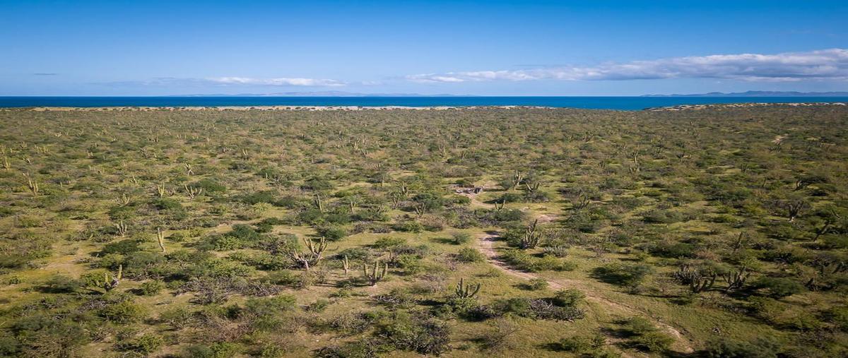 Foto de terreno habitacional en venta en  , san juan, la paz, baja california sur, 18333375 No. 05