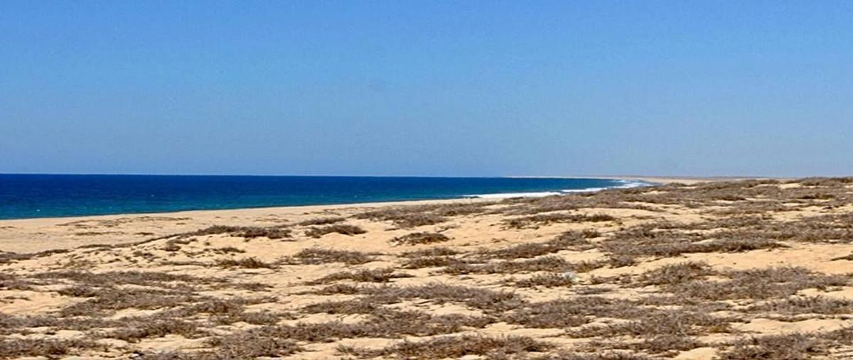 Foto de terreno habitacional en venta en  , san juan, la paz, baja california sur, 0 No. 03