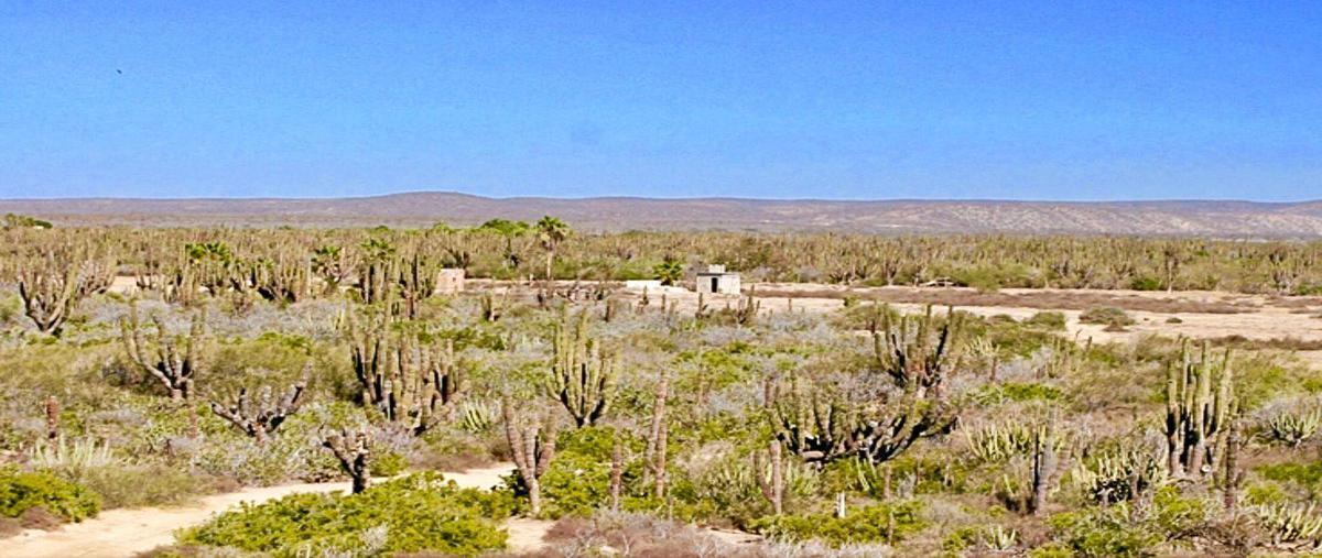Foto de terreno habitacional en venta en  , san juan, la paz, baja california sur, 0 No. 04